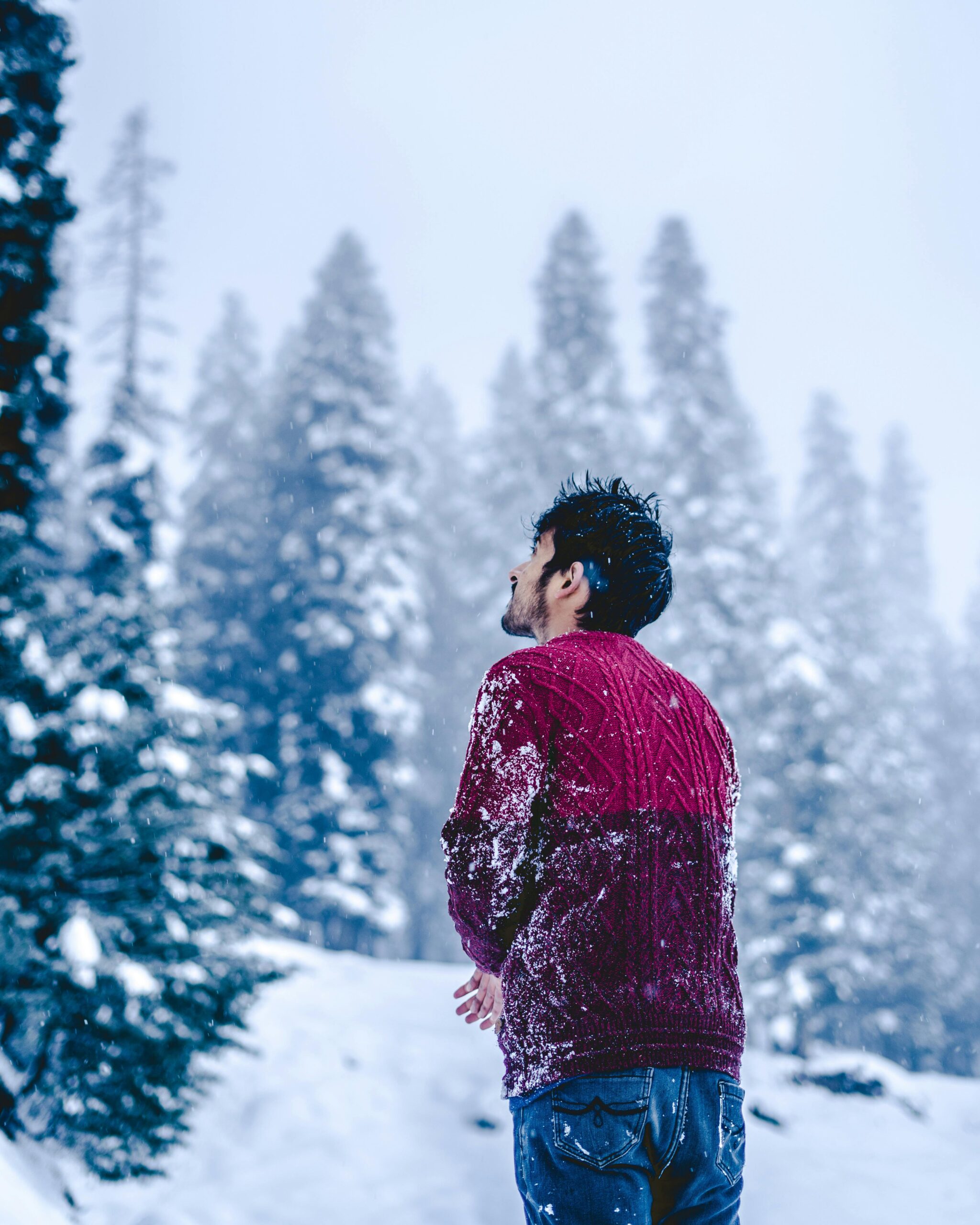 Shimla Manali