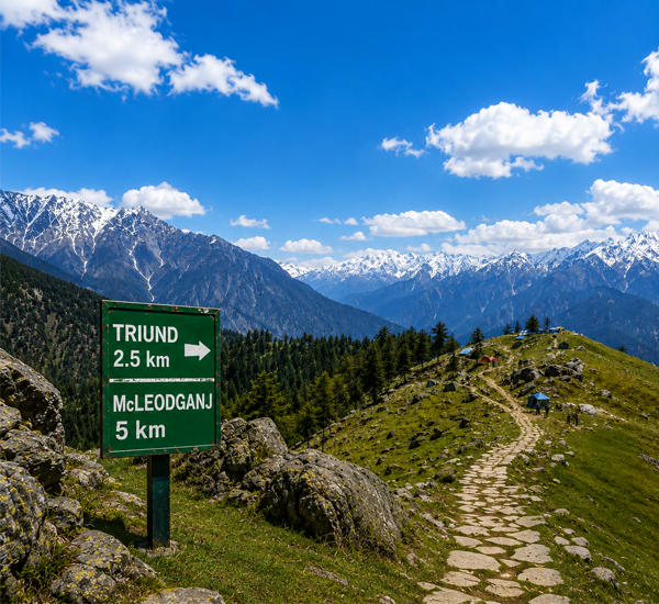 Triund Trek Ridge