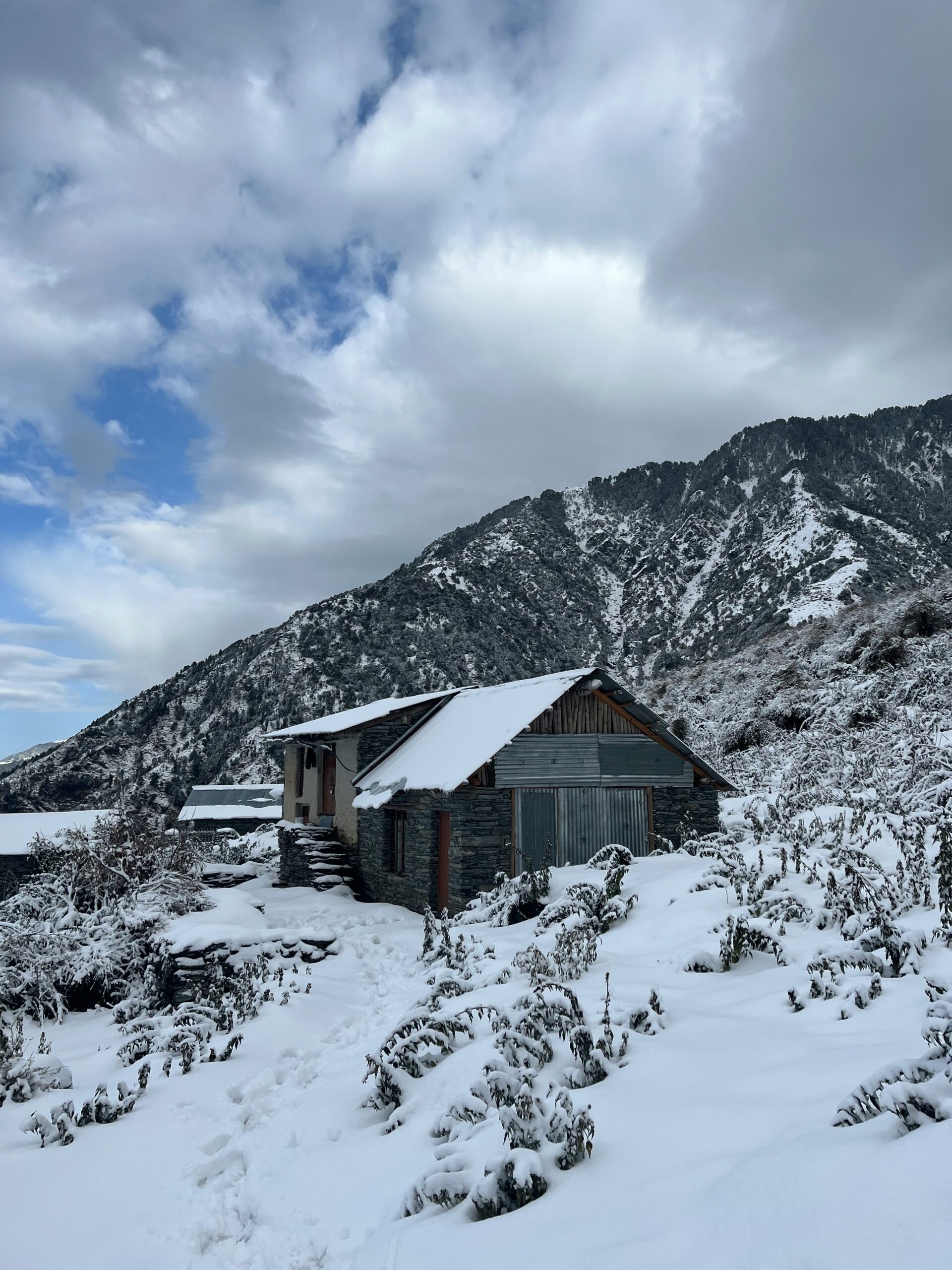Triund Ridge Trek