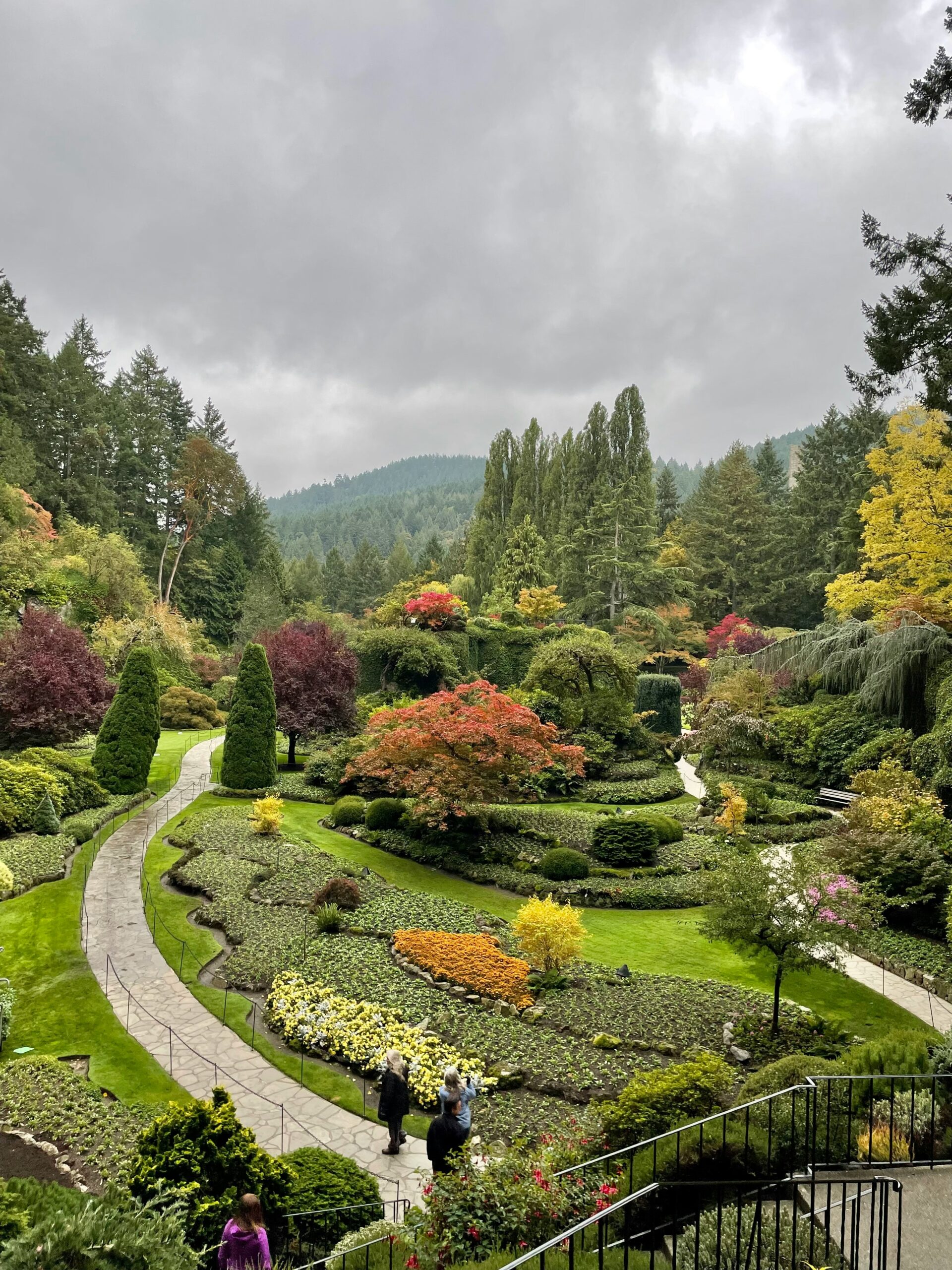 Misty Tea Garden