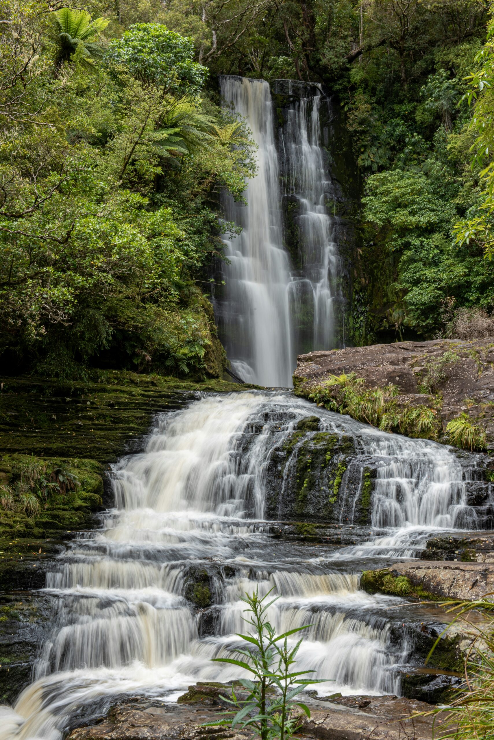 Elephant Falls Shillong