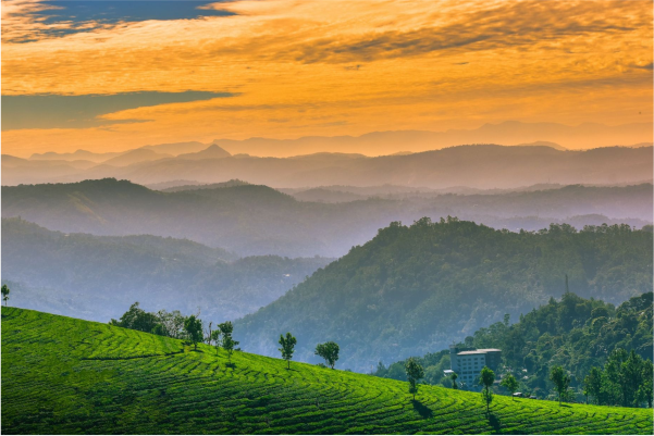 Ooty Hill Stations